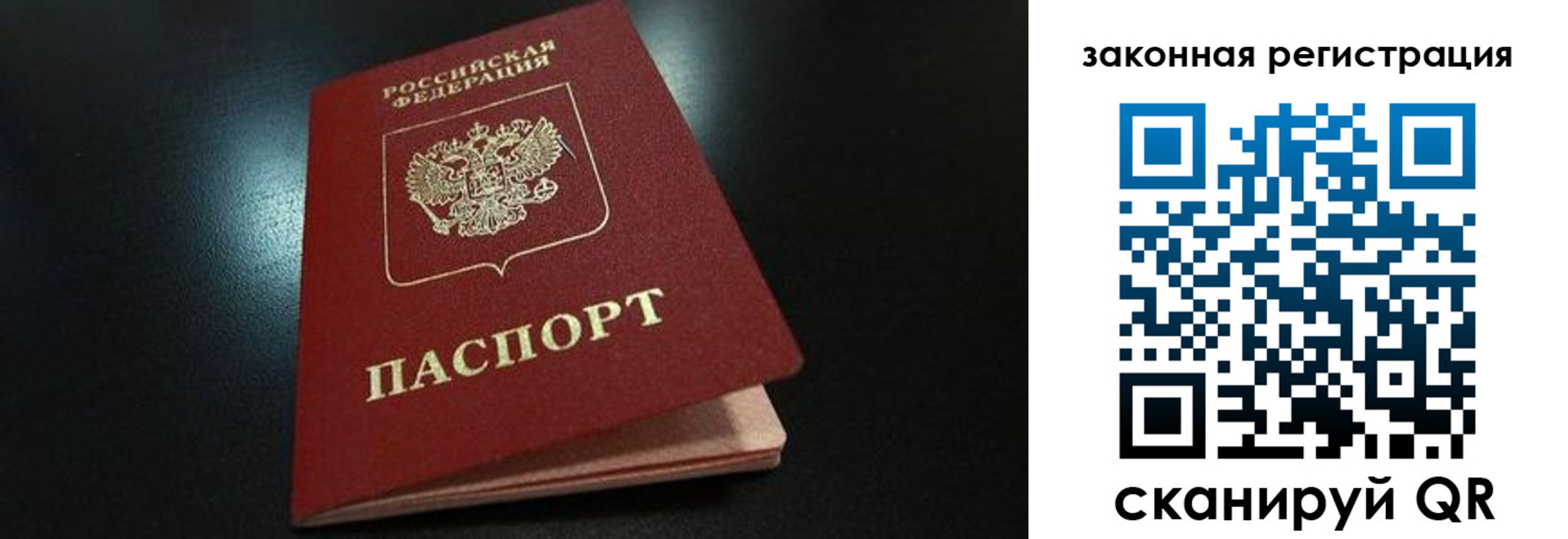 прописка 2025 в Шумихе